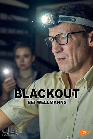 Image Blackout bei Wellmanns
