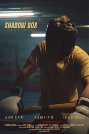 Image Shadow Box