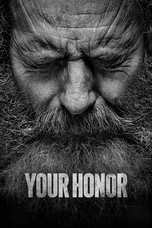 Image Your Honor