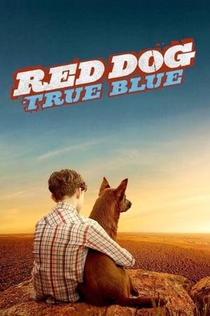 Image Рыжий пес: Самый верный