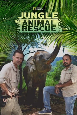 Image Jungle Animal Rescue