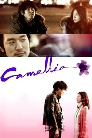 Image Camellia