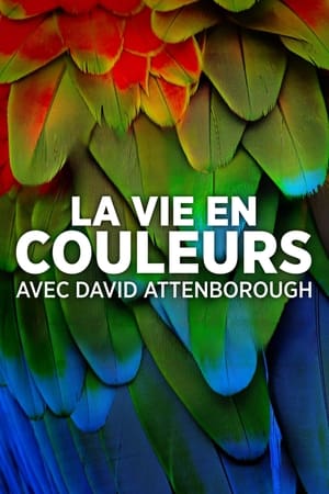 Image La vie en couleurs avec David Attenborough