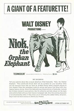 Image Niok, The Orphan Elephant