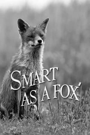 Image Smart as a Fox