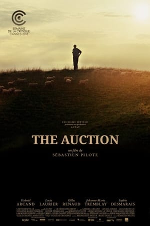 Image The Auction