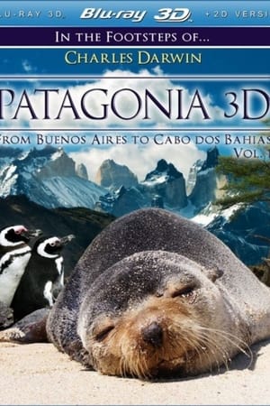 Image Patagonien 3D - Auf den Spuren von Charles Darwin: Von Camarones bis Darwins Rock