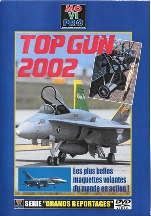 Image TOP GUN 2002