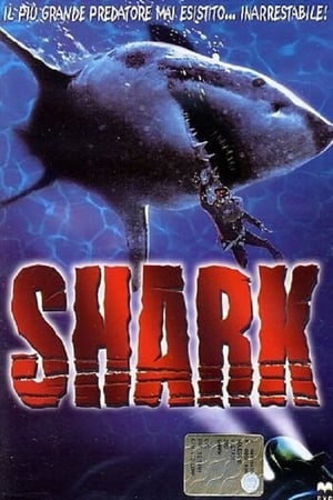 Image Shark attack 3 - Emergenza squali