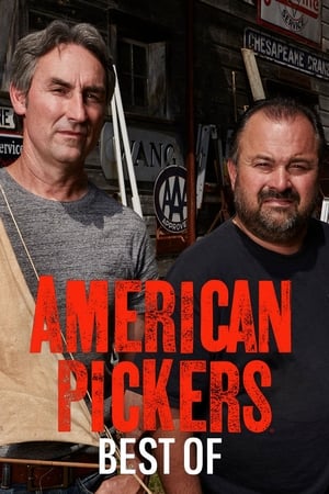 Image American Pickers: Best Of