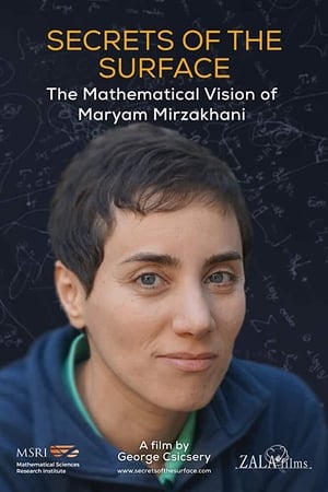 Image Secrets of the Surface: The Mathematical Vision of Maryam Mirzakhani