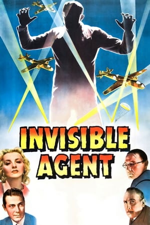 Image Invisible Agent