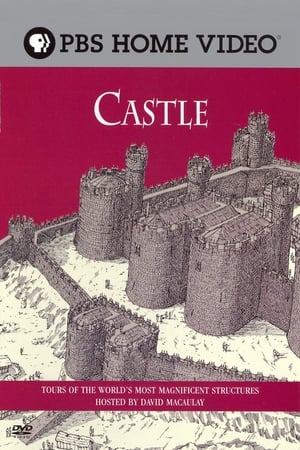 Image David Macaulay: Castle