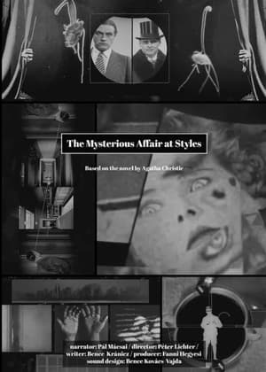 Image The Mysterious Affair at Styles