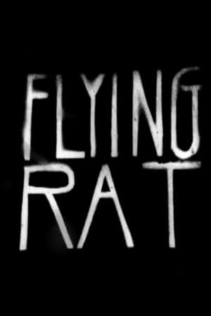 Image Flying Rat