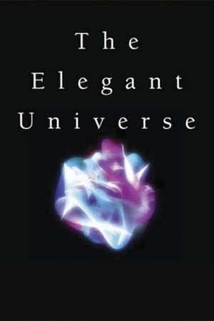 Image The Elegant Universe
