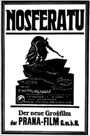 Image Nosferatu, eine Symphonie des Grauens
