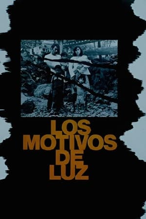 Image Luz's Motives