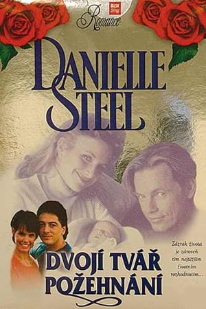 Image Danielle Steel: Dvojí tvář požehnání