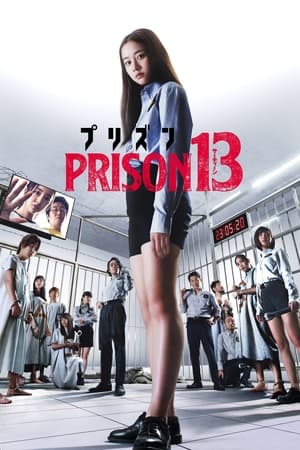 Image Prison 13