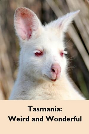 Image Tasmania: Weird and Wonderful