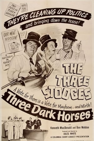 Image Three Dark Horses
