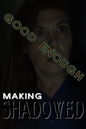 Image Good Enough: Making Shadowed