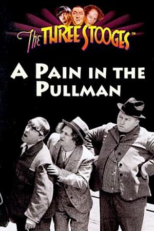 Image A Pain in the Pullman