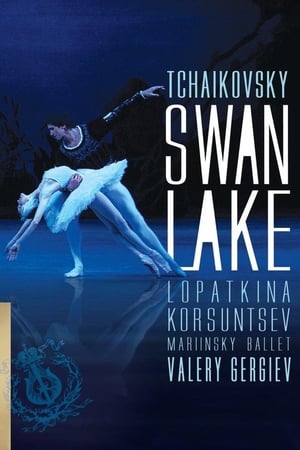 Image Tchaikovsky: Swan Lake