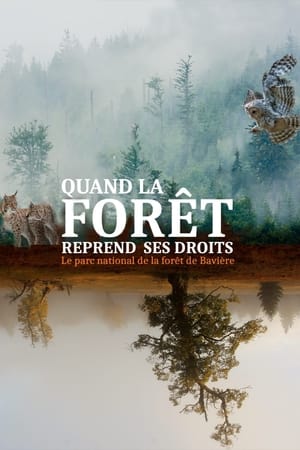 Image Quand la forêt reprend ses droits - Le parc national de la forêt de Bavière