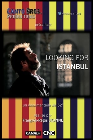 Image Looking for Istanbul
