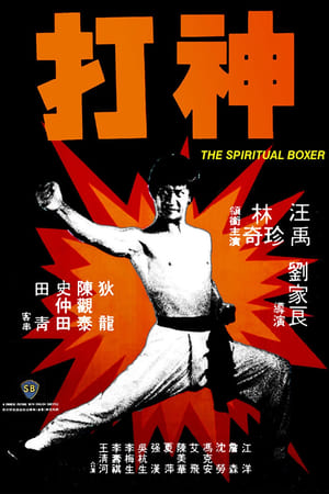 Image The Spiritual Boxer