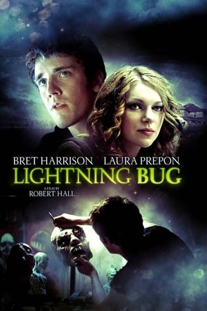 Image Lightning Bug