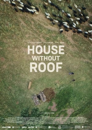 Image House Without Roof