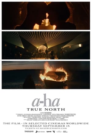Image a-ha | True North
