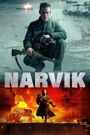Image Narvik