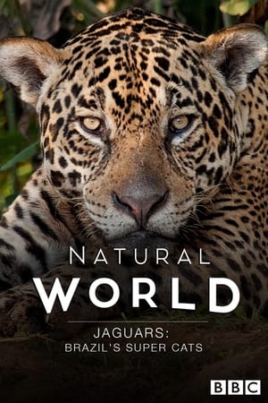 Image Jaguars: Brazil's Super Cats
