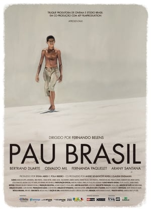 Image Pau Brasil
