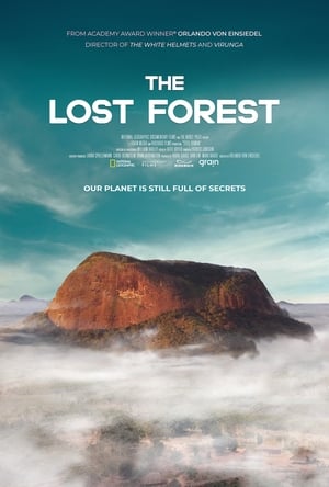 Image The Lost Forest