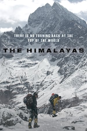 Image The Himalayas