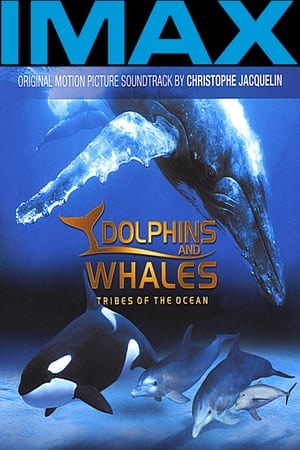 Image Delfíni a velryby 3D: Tuláci oceánů