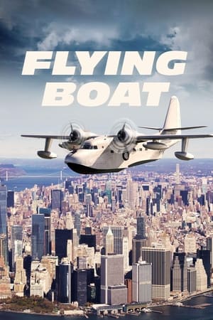 Image Flying Boat