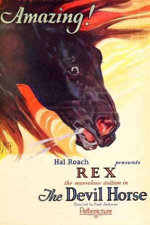 Image Rex the Devil Horse
