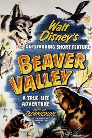 Image Beaver Valley