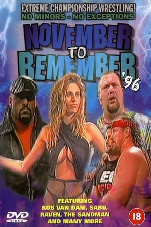 Image ECW November to Remember 1996