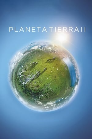 Image Planeta Tierra II