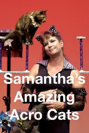 Image Samantha’s Amazing Acrocats