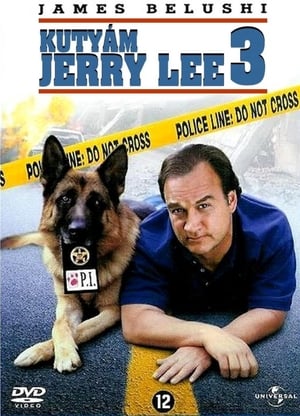 Image Kutyám, Jerry Lee 3.