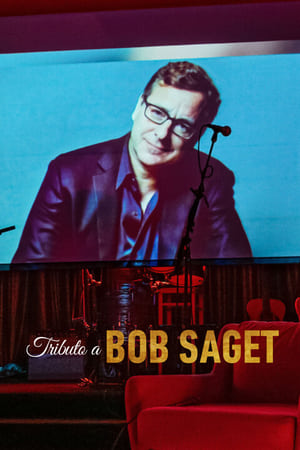 Image Dirty Daddy: The Bob Saget Tribute