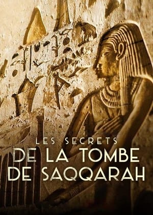 Image Les Secrets de la tombe de Saqqarah